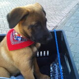 op de fiets