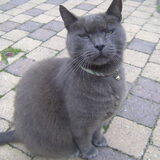 Mijn skattie Muck!!!