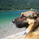 Maurach 2009 wandeling Achenkirch-Pertisau even uitrusten en genieten