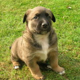 April 2007, dit is ons kleine wurmpje