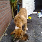 lekker eten moet nog veel groeien