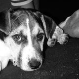 eigenwijsje!!
