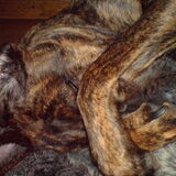 Nee niet weer op de foto :p