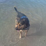 Foto van Claudia & Tank