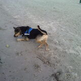 Foto van Claudia & Tank
