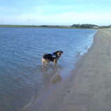Foto van Claudia & Tank