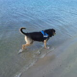 Foto van Claudia & Tank