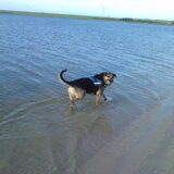 Foto van Claudia & Tank
