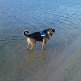 Foto van Claudia & Tank