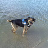 Foto van Claudia & Tank