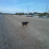 Foto van Claudia & Tank