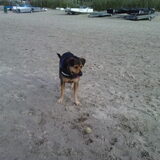 Foto van Claudia & Tank