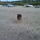 Foto van Claudia & Tank