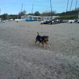 Foto van Claudia & Tank