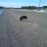 Foto van Claudia & Tank