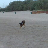 Foto van Claudia & Tank