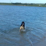 Foto van Claudia & Tank