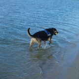 Foto van Claudia & Tank