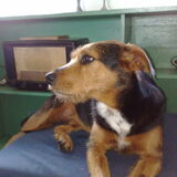 Charley de rust hemzelve...