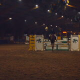 Foto van liesbeth,Turbo,Luna, Levi en Faith