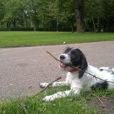 Foto van Petra
