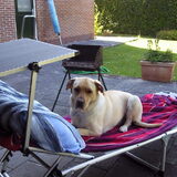 Tes in de tuin bij mijn ouders aan het relaxen