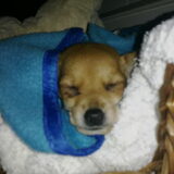 Slapen! Echt schattig haha