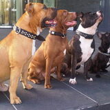 My Pack!