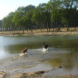 Xena en vriendje Mo het water in rennen