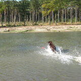 xena de frisbee halen