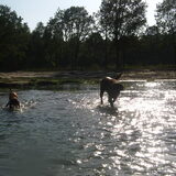 Mo en Xena in het water