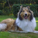 wauw wat was hij mooi