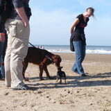 Ben jij ook nog een pup????