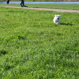 Funny in actie