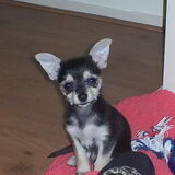 Ikke als babyyy