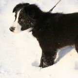lekker in de sneeuw