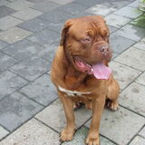dit is senna haar vriend bob[en toekomstige vader]