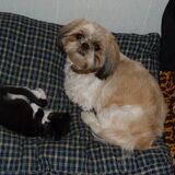 lizzy en fee