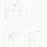 Tekening van Noah met gekruiste pootjes