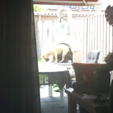 lekker aan het klimmen in de bbq