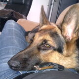 samen met vrouwtje bank hangen