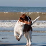 lekker op het strand oktober 2010