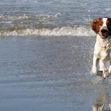 lekker op het strand oktober 2010