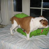 bed afhalen