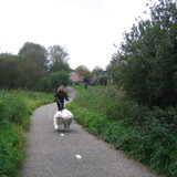 Sleetje rijden met de sammies
