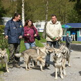 Foto van Leffe Saarlooswolfhond