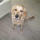Foto van Mariska en Jip