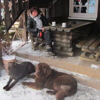 Foto 5 van een Newfoundlander