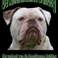 Foto 1 bij Het eerste rasboek van de Amerikaanse Bulldog in Nederland