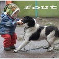 Foto 1 bij Hond & baby / peuter enz.